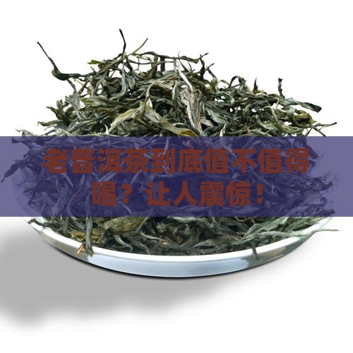 老普洱茶到底值不值得喝？让人震惊！