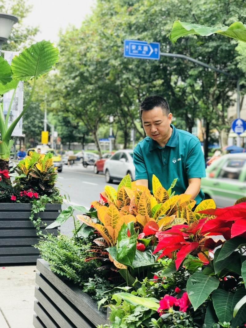 ？南京西路为何这么美？上海这位“护花人”用30年扮靓城市｜奋勇争先实干家