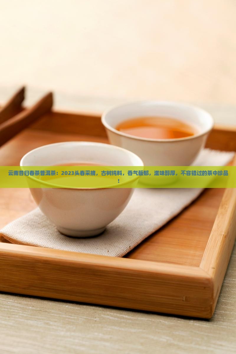 云南昔归春茶普洱茶：2023头春采摘，古树纯料，香气馥郁，滋味醇厚，不容错过的茶中珍品！