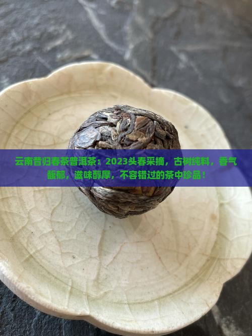 云南昔归春茶普洱茶
