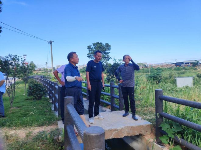 桐城市青草镇：盛夏迎“烤”验 多措并举保丰收