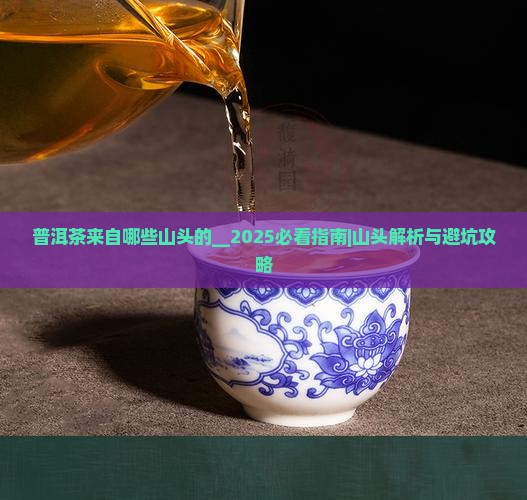 普洱茶来自哪些山头的