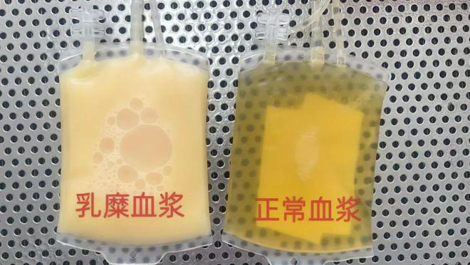 秋日热血VS奶茶警报：你的第一杯选择能改写生命剧本