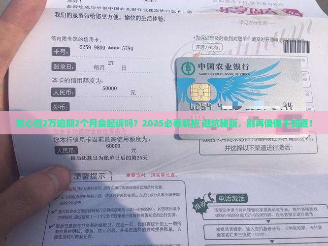 放心借2万逾期2个月会起诉吗？2025必看解析+避坑秘籍，别再傻傻不知道！