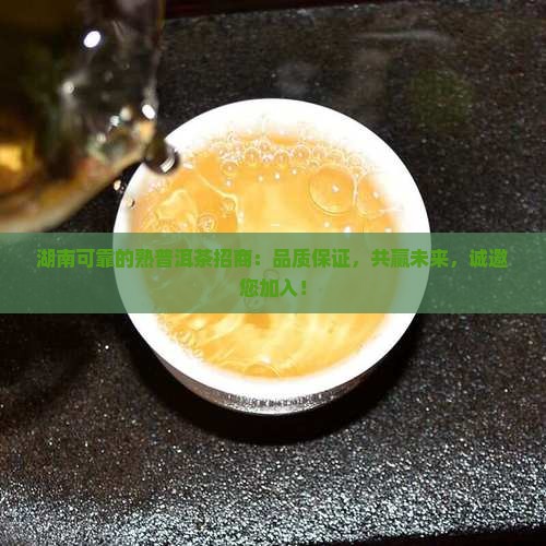 湖南可靠的熟普洱茶招商