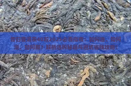 昔归普洱茶40粒2025必看指南：如何选、如何泡、如何藏？解析选购秘籍与避坑省钱攻略！
